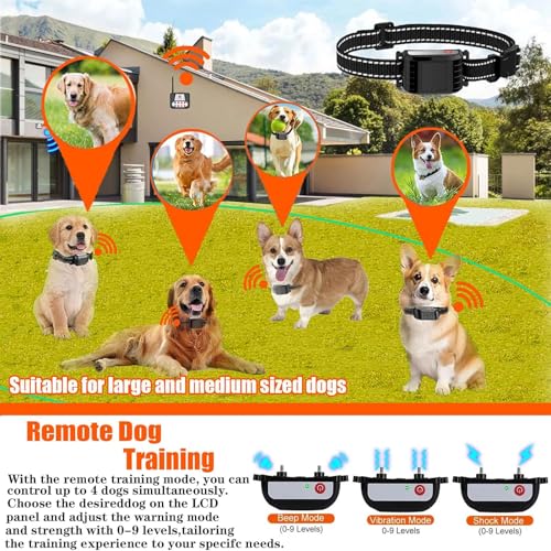 Wireless Dog Fence Collar Close-up