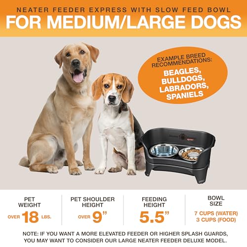 image for Neater Feeder - Express Model w/ Slow Feed Bowl - Mess-Proof Dog Bowls