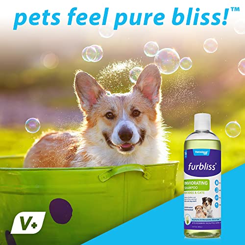 Vetnique Furbliss Dog Grooming Shampoos And Conditioner No Wet Dog Smell Botanical And Essential Oils To Clean And Deodorize Coat For Dogs And Cats (Gallon Invigorating Scent Shampoo) #TOP5