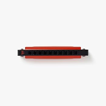 ミックジャガー　ハーモニカ　カード付き　リーオスカー　A 61wRMzoMhrL._UF1000,1000_QL80_.jpg