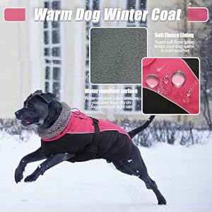 DENTRUN Warm Dog Winter Coat Dog Cold Weather Jacket Windproof Dog Fleece Vest Reflective Dog Outwear Waterproof Dog Snowsuit Cozy Doggie Turtleneck Apparel Winter Clothes for Large Dog Coat, L DENTRUN Warm Dog Winter Coat Dog Cold Weather Jacket Windproof Dog Fleece Vest Reflective Dog Outwear Waterproof Dog Snowsuit Cozy Doggie Turtleneck Apparel Winter Clothes for Large Dog Coat, L
