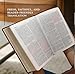 Saint Joseph New Catholic Bible (Large Type) [Bonded Leather] Catholic Book Publishing