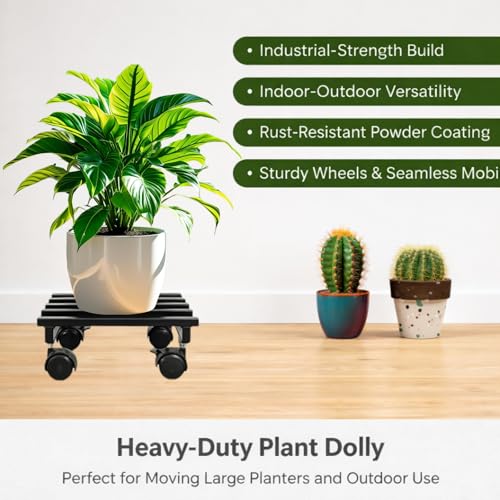 Image of Plant Stand with Wheels - Heavy Duty Metal Rolling Plant Caddy for Pots & Planters, Rust-Proof Iron Trolley with 360 Rotating Wheels, Indoor Outdoor Balcony Garden Use (Black, Pack of 2)