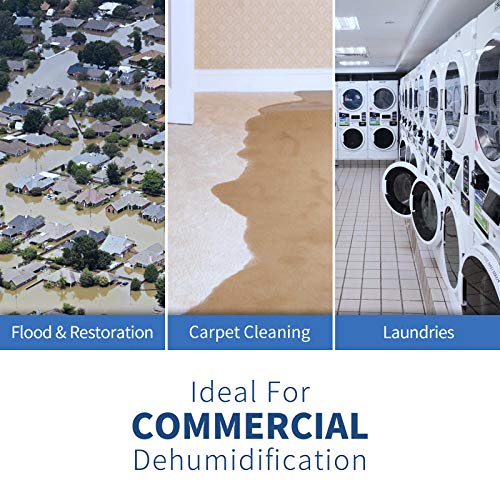 Alorair Commercial Dehumidifier 113 Pint, With Drain Hose For Crawl Spaces, Basements, Industry Water Damage Unit, Compact, Portable, Auto Defrost, Memory Starting, 5 Years Warranty, Sentinel Hd55 #TOP4