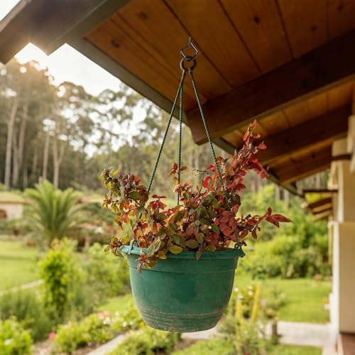 Tuakoie 46 Pack Mini Screw in Hooks with Safety Buckle, Black Ceiling Hooks for Hanging Plants, Outdoor String Lights, Bird Feeders, Cups & Home Decor, Windproof Metal Eye Hooks Screw, 1.65IN — view 6
