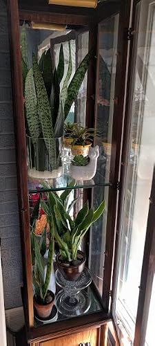Review Image by flowerpower