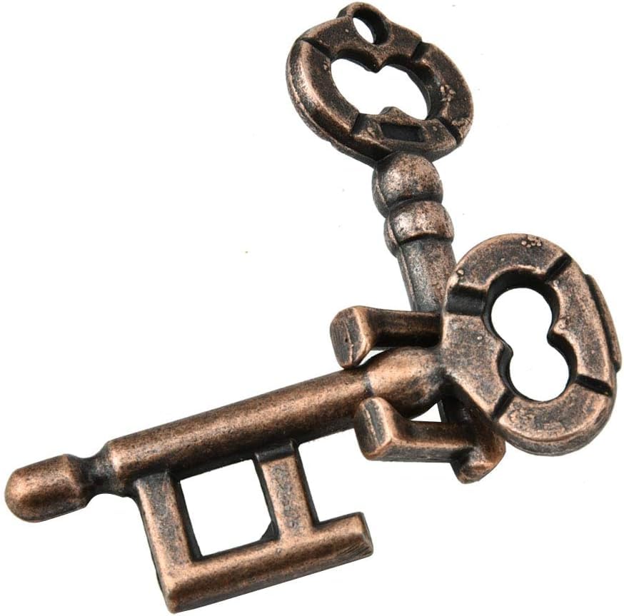 Two CAST Keys Puzzle/HANAYAMA Double Interlocking Keys Puzzle (Silver) (Metal) Magic Trick-image-28