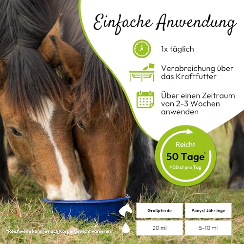 PHA Vitamin B Komplex Liquid für Pferde, gegen Stress, für Nerven, Haut, Fell, Hufe, bei B-Vitamine Mangel, zur Unterstützung der Regeneration, 1L