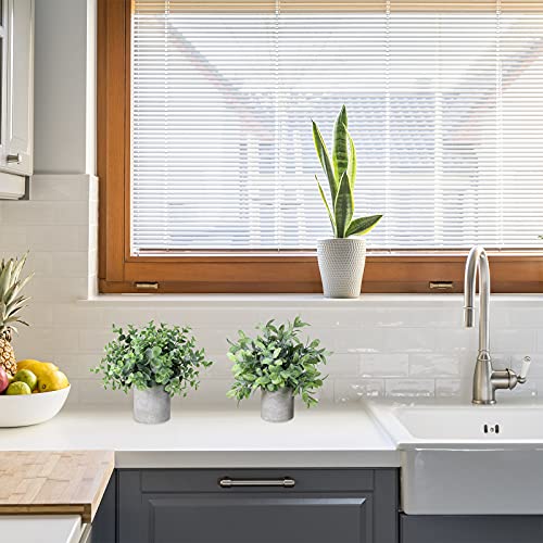 Winlyn Set Of 2 Faux Mini Potted Plants Artificial Eucalyptus Boxwood Plants In Pots Fake Greenery Arrangement For Rustic Farmhouse Indoor Table Centerpiece Mantel Shelf Kitchen Office Desk Decor #TOP4