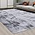 CAROMIO Fluffy Area Rugs for Living Room 9' x 12' Modern Plush and Thick Faux Fur Shag Rug Non-Slip Tie Dye Carpet for Bedroom, Fuzzy Shaggy Rugs for Kids Nursery Dorm, Light Grey