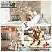 AMFUN 11 Stück Hundespielzeug Set, Hundespielzeug Kleine Hunde, Plüsch Hundespielzeug Mit Quietscher, Quietschend Kauspielzeug für Kleine Mittlere Hunde, Plüschspielzeug für Welpen