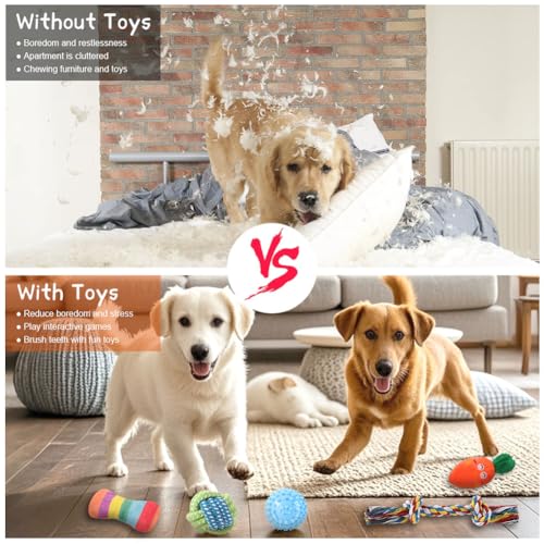 AMFUN 11 Stück Hundespielzeug Set, Hundespielzeug Kleine Hunde, Plüsch Hundespielzeug Mit Quietscher, Quietschend Kauspielzeug für Kleine Mittlere Hunde, Plüschspielzeug für Welpen