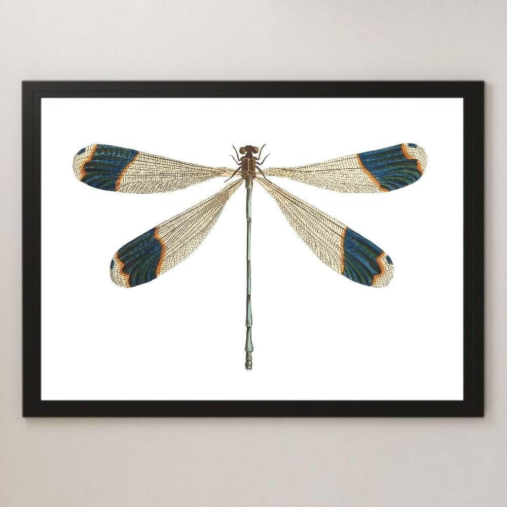 ボールペンアート「赤蜻蛉」イラスト原画 ボールペンアート「赤蜻蛉」イラスト原画の通販 by 篠尾旭月's