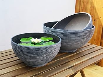 睡蓮 Amazon.co.jp: 睡蓮鉢 睡蓮の鉢 睡蓮鉢+大型 睡蓮鉢プラスチック