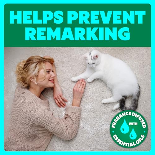 Image of Shout Pet Stain Remover Spray, Color-Safe Multisurface & Carpet Cleaner Solution for Dog & Cat Urine, Feces, Vomit & Mud, Fights Odors & Remarking, Fast-Acting Cleans in 5 Minutes or Less, 22oz