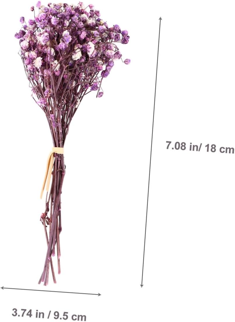 DOITOOL 6pcs Mini Babys Breath Dried Flowers Bouquet Set, 12cm Purple and Deep Pink Preserved Flower Arrangement, Wedding Table Decoration and Home Centerpiece