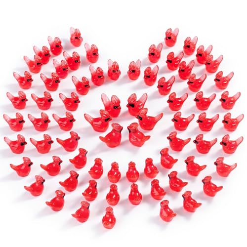 Teenzee 60 pcs Mini Resin Bird Many Styles Variety Tiny Luminous Animals Figures Miniature Little Small Animal Figurines Bulk for Micro Fairy Garden Landscape Accessories Hide Crafts Decor Aquarium