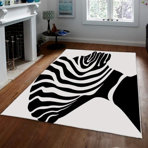Modern Minimalist 3'3"x4'6" Area Rugs for Living Room Black White
