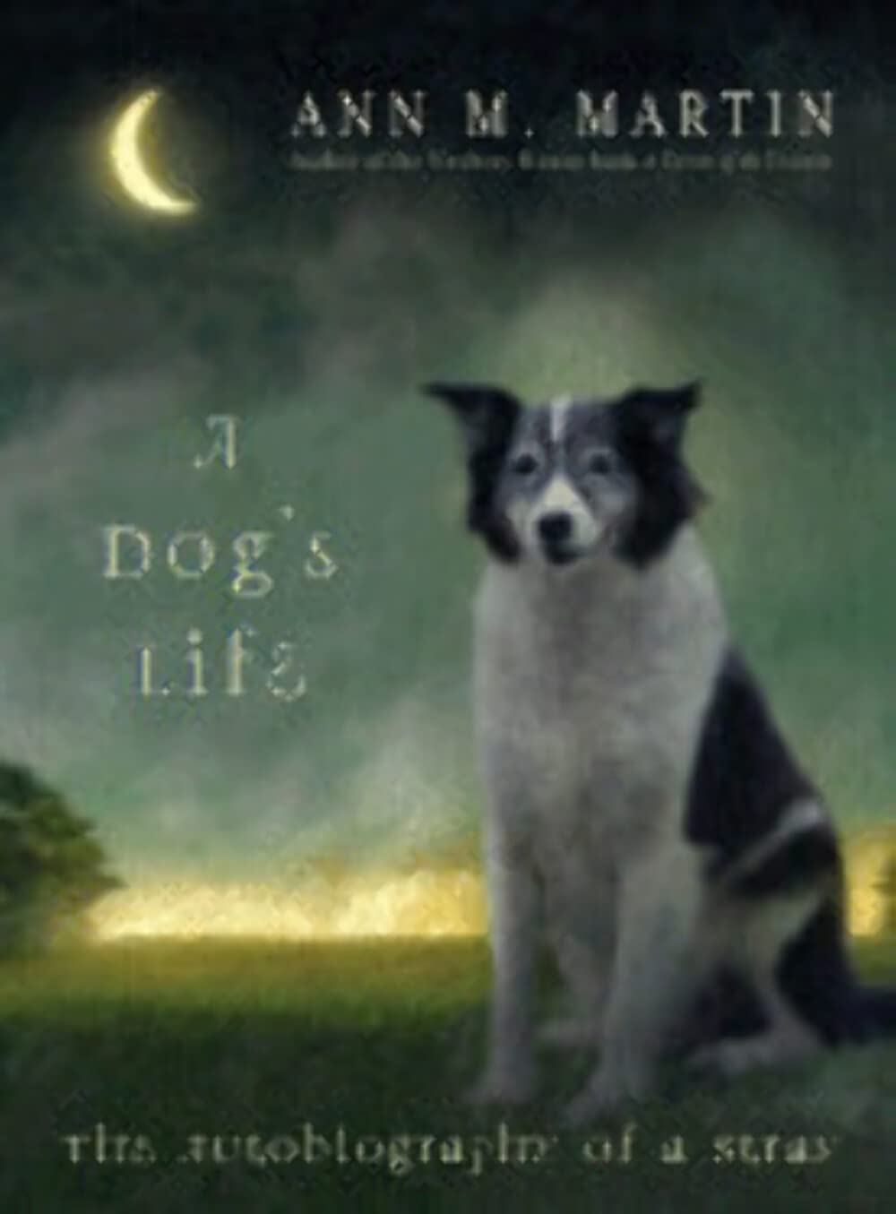 Cover of A Dog's Life: The Autobiography Of A Stray