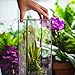 NCYP Closed Glass Terrarium with Door - 3.9x3.9x11.8 Inches Rectangular Tall Planter Box for Fern, Succulent Plants, Home Garden Tabletop Decor, Handmade (Terrarium Only)