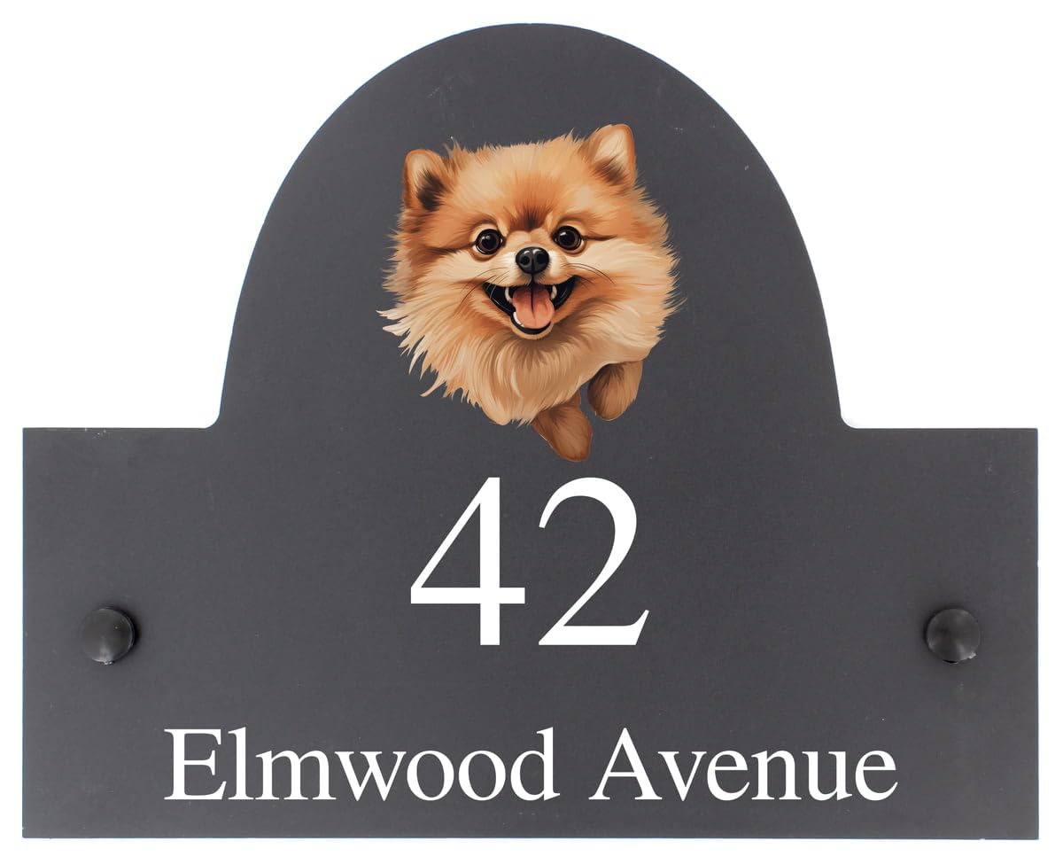 Targa personalizzabile con nome o numero civico in ardesia con cane Pomerania, 25 x 20 cm