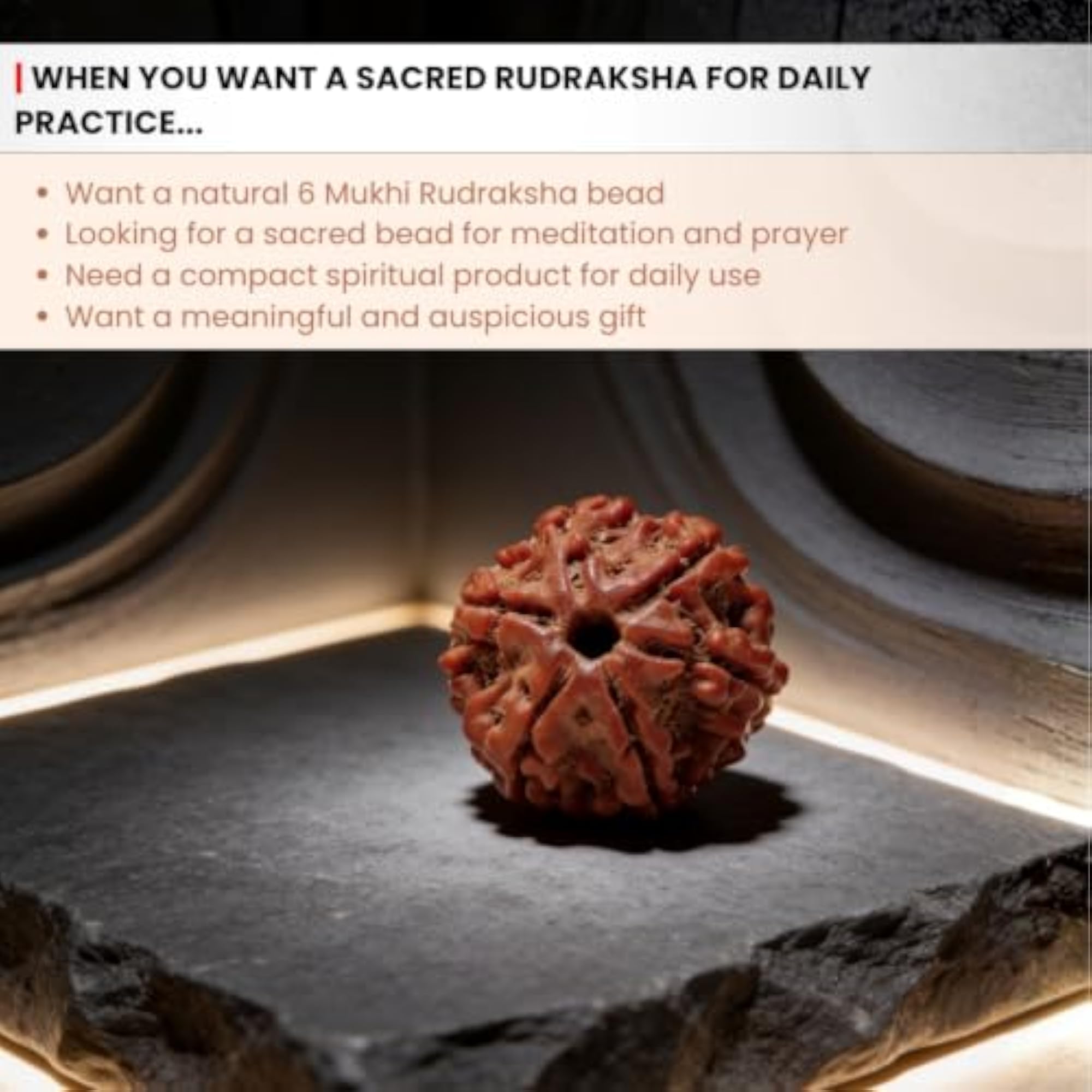 Authentic 6 Mukhi Rudraksha Bead for Focus and Willpower