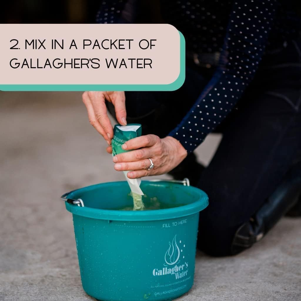 Gallagher's Water Paquete de 12 golosinas de hidratación equina Totalmente Naturales – Mezcla de Polvo de Mejora para Bebida de Caballo para Ayudar a fomentar el Consumo de Agua – Fabricado con
