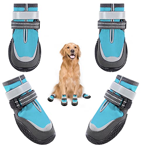 Top 10 Best Summer Boots For Dogs Reviews & Buying Guide Katynel