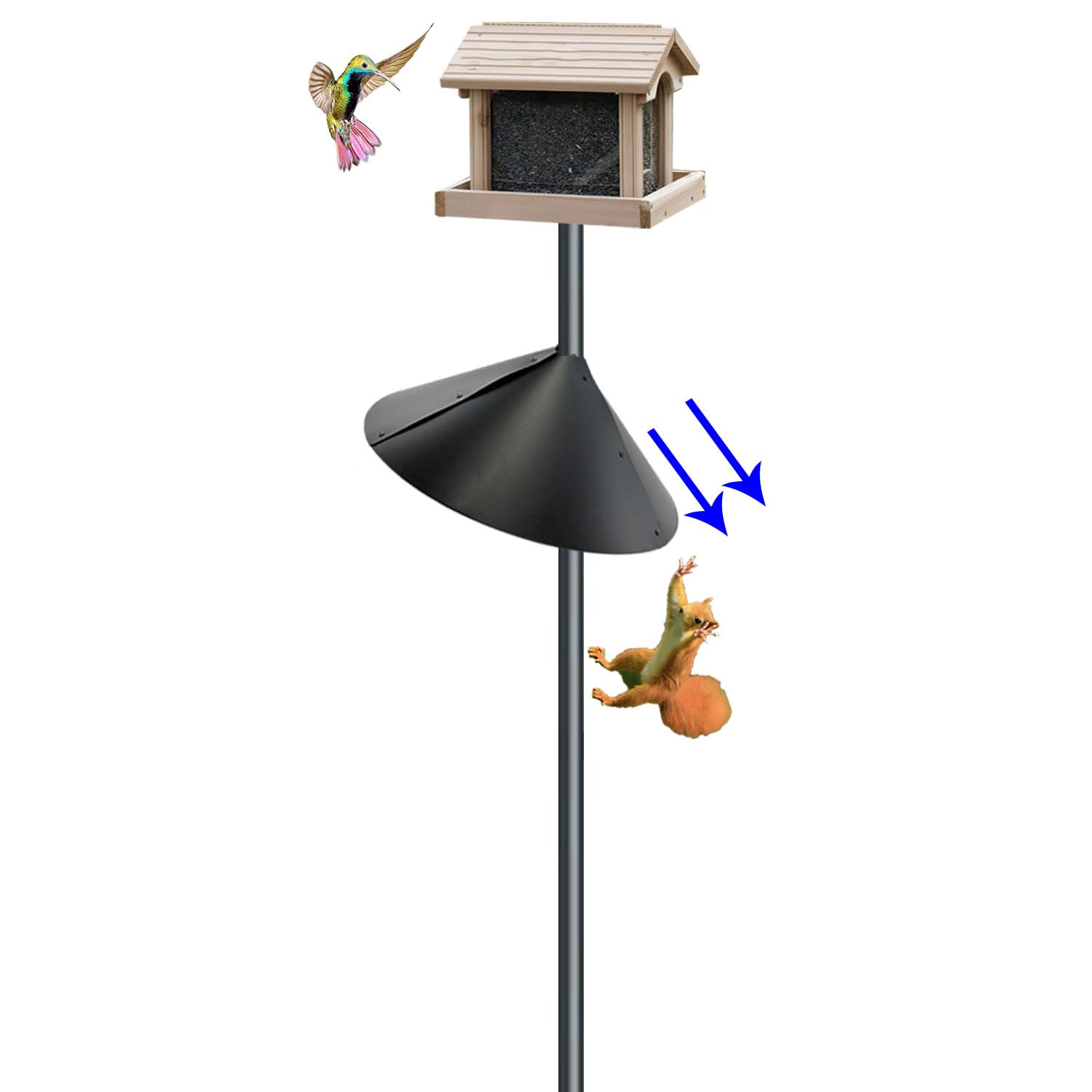 Photo 1 of Forever Song Squirrel Baffle for Bird Feeders