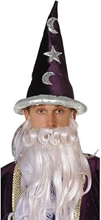 Wizard Hat (Purple/Silver)