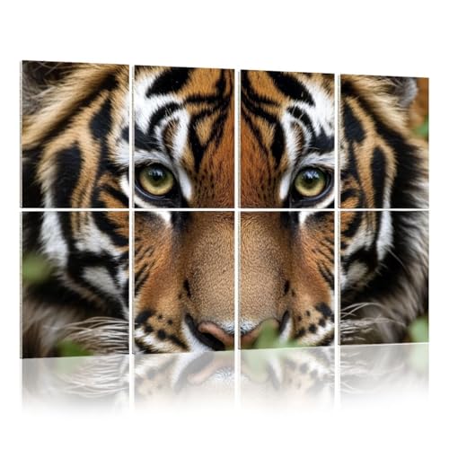 8 Pack Acoustic Foam Panels Sound Proofing Panels eyes tiger Acoustic Wall Panel Soundproofing for Livingroom Nursery Room 48x32 Home Decor
