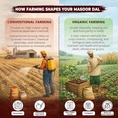 Image of Rav Organic Sabut Masoor Dal 1 kg | Whole Lentils | Protein Rich | Unpolished | Gluten Free | Chemical Free Certified Organic Dal