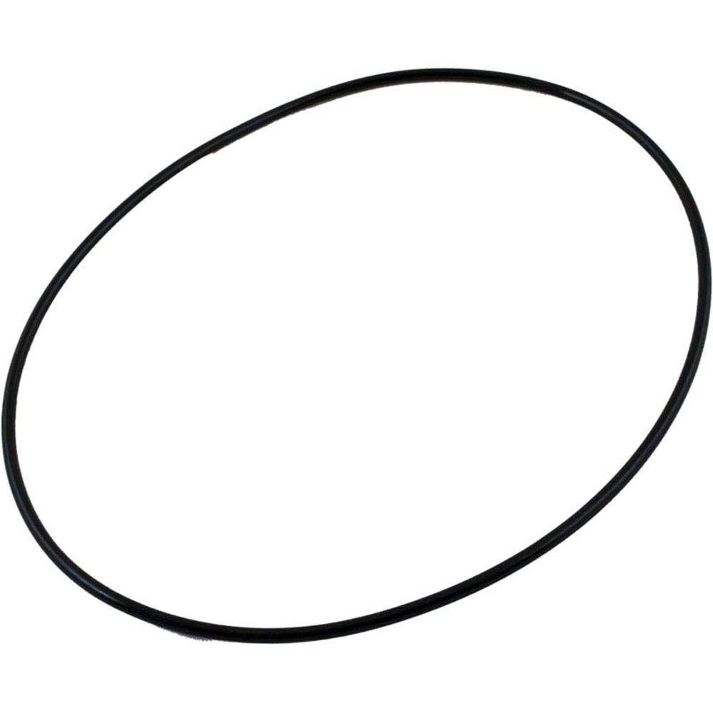 o-ring, Waterco AquaMite/SupaMite, płyta uszczelniająca, O-299