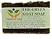 TRASCENTUALS Aloe Vera Soap With Spirulina and Goat Milk Extra Moisturizing Bar for Face or Body Washing Helps with Acne, Eczema, or Psoriasis (1 (ONE) PACK)