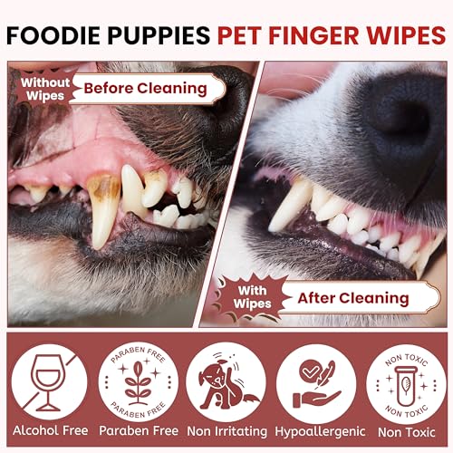Image of Foodie Puppies Tooth & Gum Pet Finger Wipes - (Pack of 1) Reduces Tartar & Plaque | 50 Pre-Soaked Textured Wipes | Dental /Oral Care Teeth Cleaning Wipes