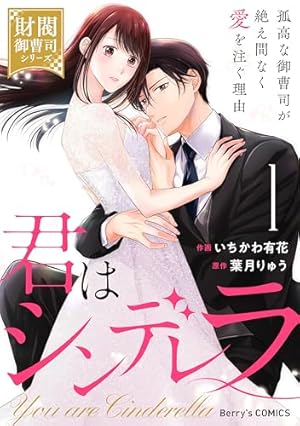 愛したいのは、お前だけ～天才外科医の甘い策略～【財閥御曹司