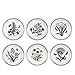 Portmeirion Botanic Garden Salad Plates, Set of 6 Assorted Motifs