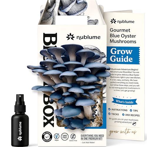 BloomBox Blue Oyster Mushroom Grow Kit – Ready to Fruit Indoor Gardening Gift – Organic Spawn Log for Fresh Fungi in 10 Days – Unique DIY STEM Science Project for Kids & Adults – Vegan Meat Substitute