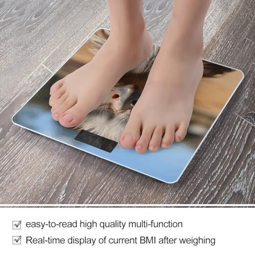 Báscula Digital de Baño con Diseño de Avestruz y Plataforma de Vidrio Templado miniatura 5