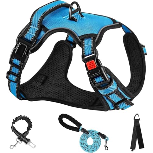 BQQB  n[lX p ߉\ Ԕ ^/^/^ ʋC bV s⏕ U p y S  h~ hbO P Č Hc (L,?F)