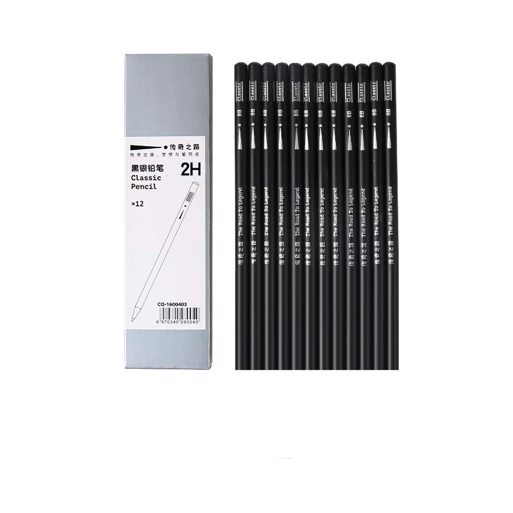 YYMIYU Charcoal Sketch Pencil Black Silver Charcoal Sketch Art Pencil 2H Charcoal 12