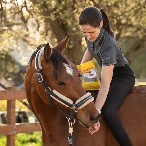 JOSERA Senior (1 x 15 kg) | PFERD SENIOR | Premium Pferdefutter für ältere & schwerfuttrige Pferde | Müsli-Mix für Vitalität bis ins hohe Pferdealter | nährstoffreich & leicht verdaulich | 1er Pack