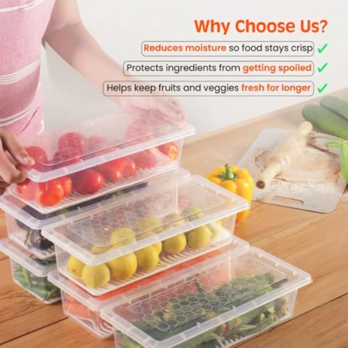 Image of GO STORE 2 Food Storage Container with Removable Drain Plate and Lid Fridge Storage Box Stackable Plastic Freezer Storage Containers To Keep Fresh for Meat, Fruits etc.(1500 Ml, Transparent)