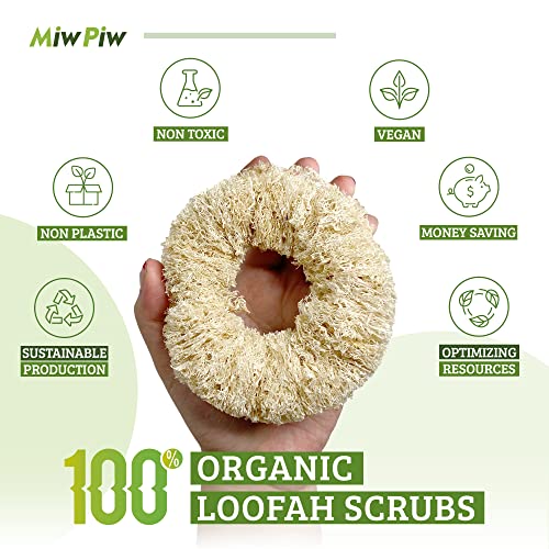 Image of Natural Loofah Dish Sponge Vegetable Scrubber for Kitchen - 100% Biodegradable Compostable Dishwashing Scouring Pad Zero Waste Luffa Loofa Loufa Lufa (Pack 1)