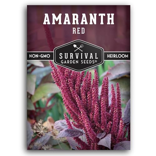 Red Amaranth Seeds for Planting - Survival Garden Seeds (1 Pack)