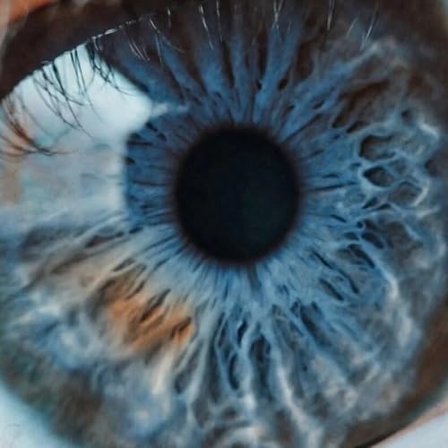 Brown and Blue Pearl