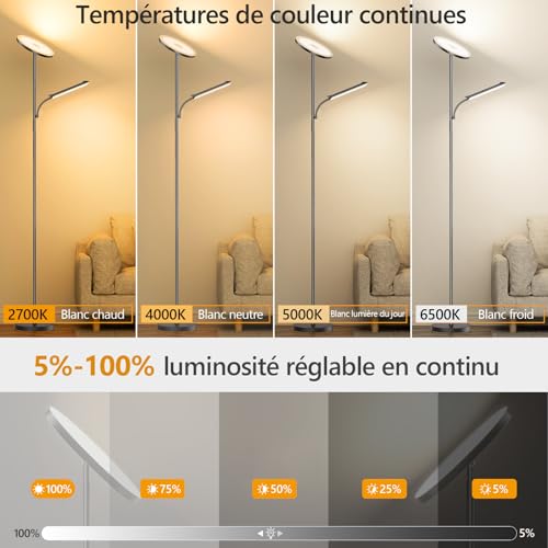 Lampadaire intensité variable en continu avec commande tactile double source