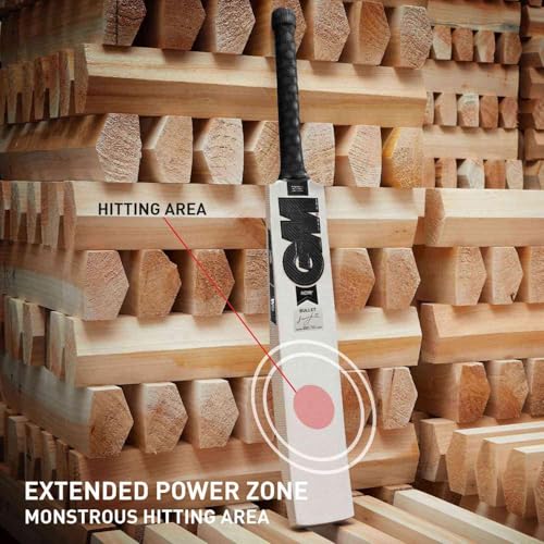 Image of GM Noir Bullet English Willow Professional Cricket Bat for Mens, Full Size with Free Bat Cover