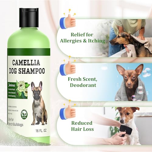 Hundeshampoo gegen Juckreiz und Hautirritationen – Naturales Shampoo für Haustiere mit Camellienöl für empfindliche Haut, Reduzierung der Fellausfälle | 473 ml (Kurzhaarhund)