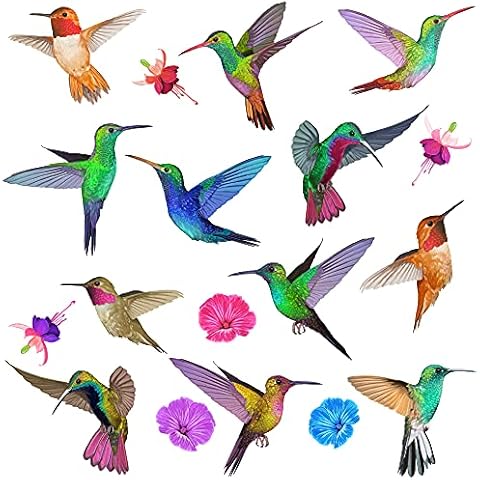 Articlings 12 Hummingbird Window Clings Non Adhesive Vinyl Stickers Beautiful Glass Safety Sticker The Decals can Deter Birds from Window Collision Strike Cover